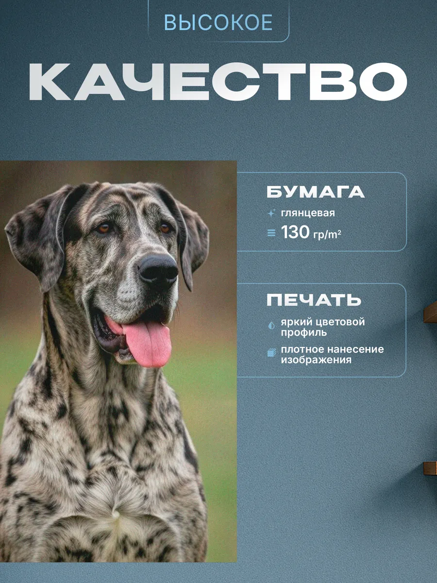 Изображение товара 3 из 4