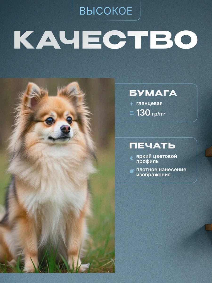 Изображение товара 3 из 4