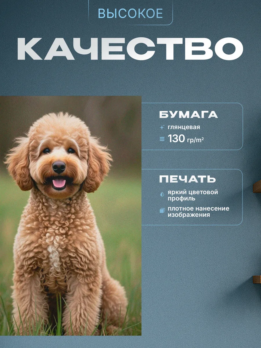 Изображение товара 3 из 4