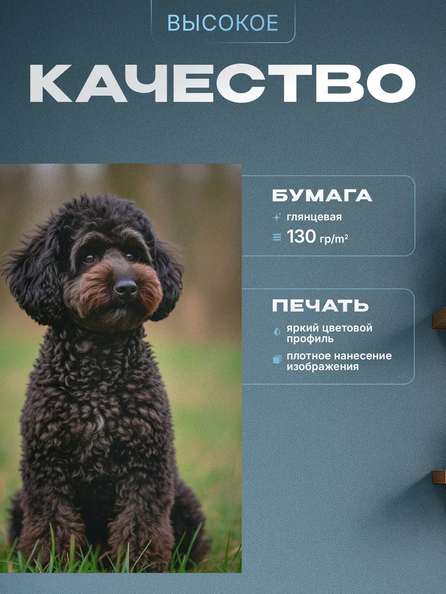 Изображение товара 3 из 4