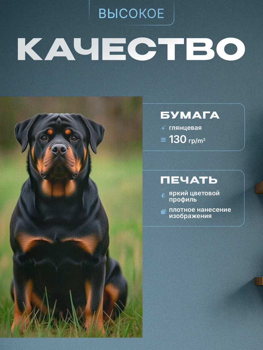 Изображение товара 3 из 4