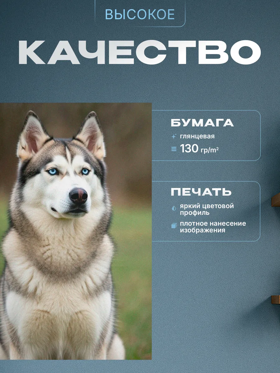 Изображение товара 3 из 4