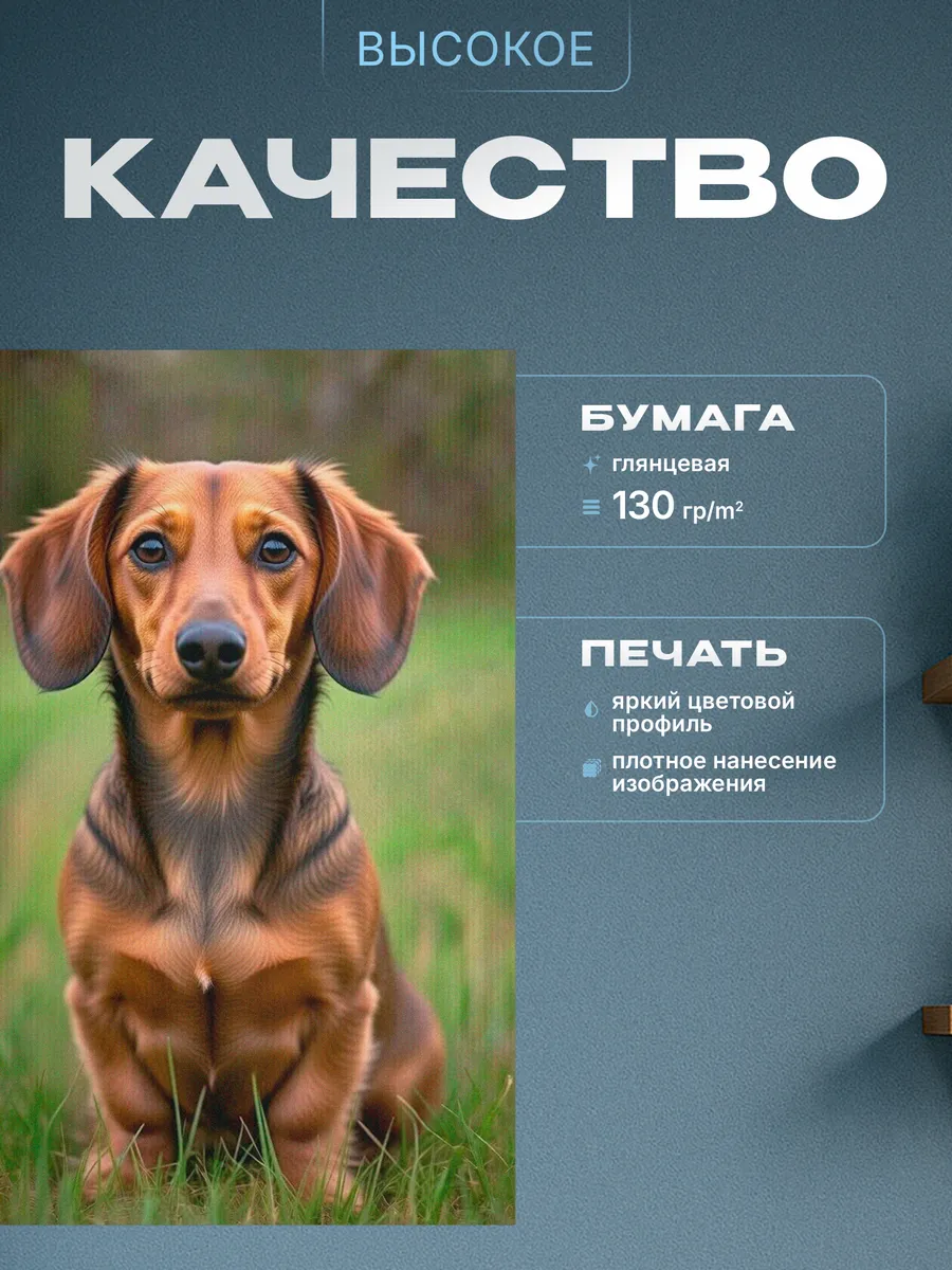 Изображение товара 3 из 4