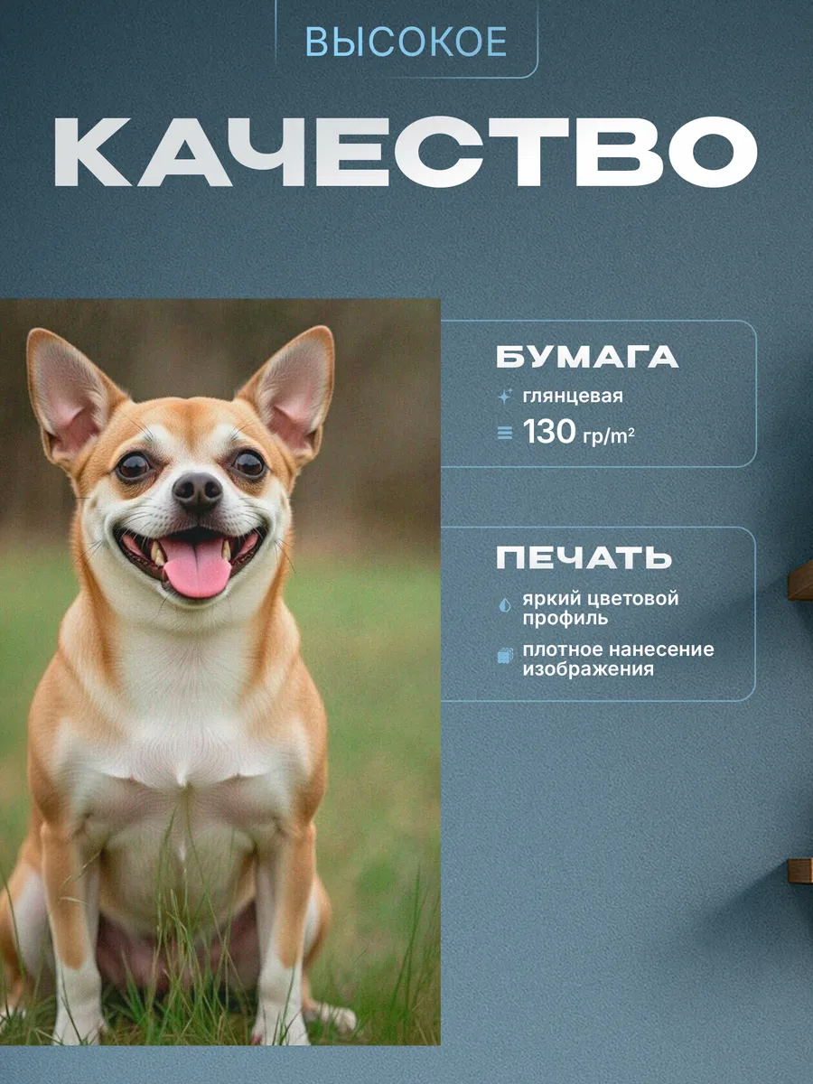 Изображение товара 3 из 4