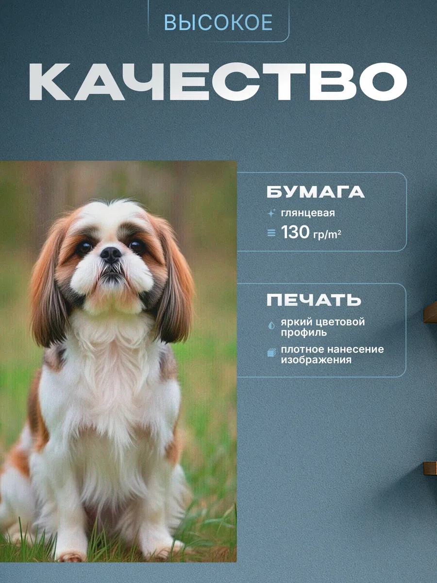 Изображение товара 3 из 4