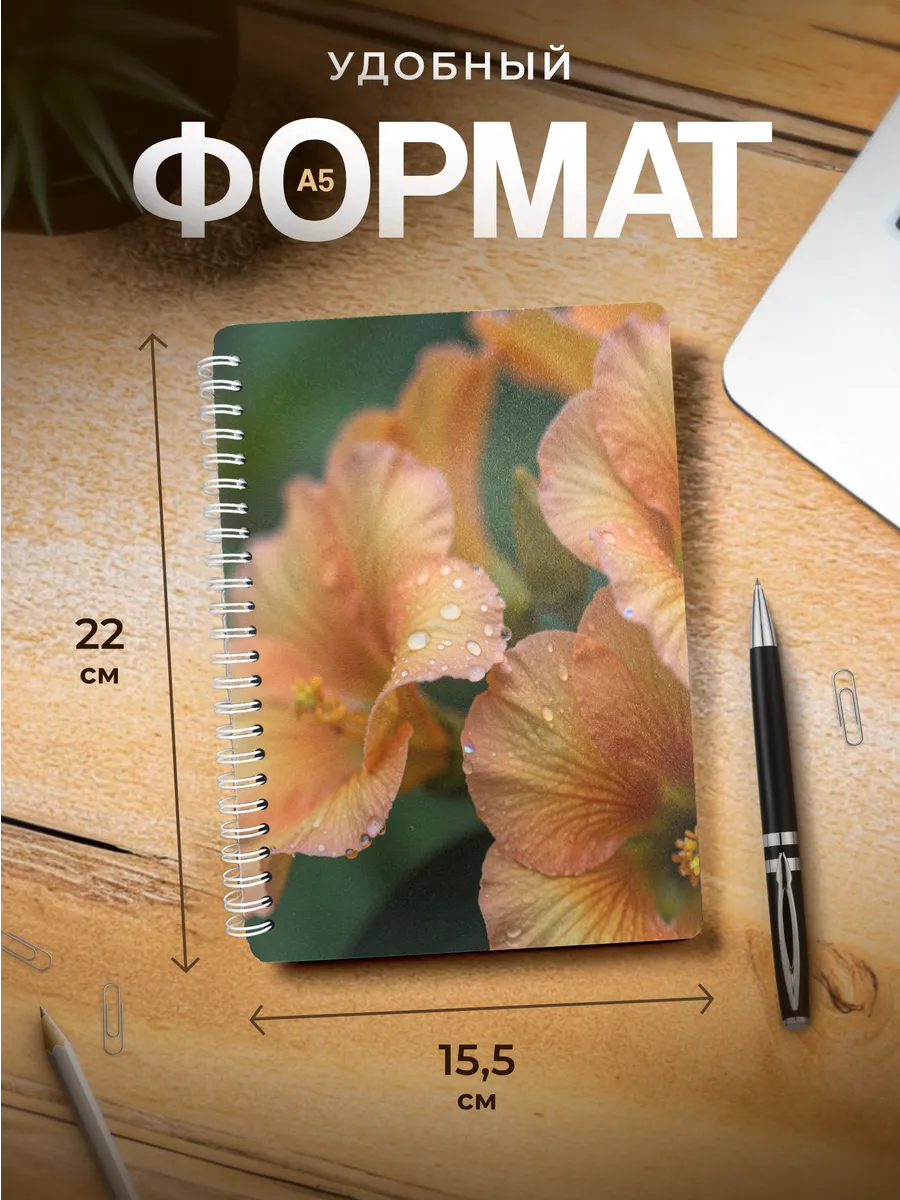 Изображение товара 3 из 4