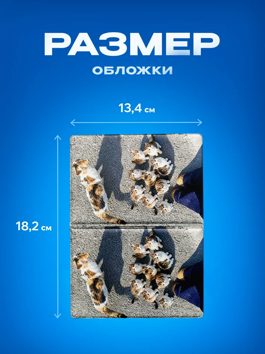 Изображение товара 3 из 5