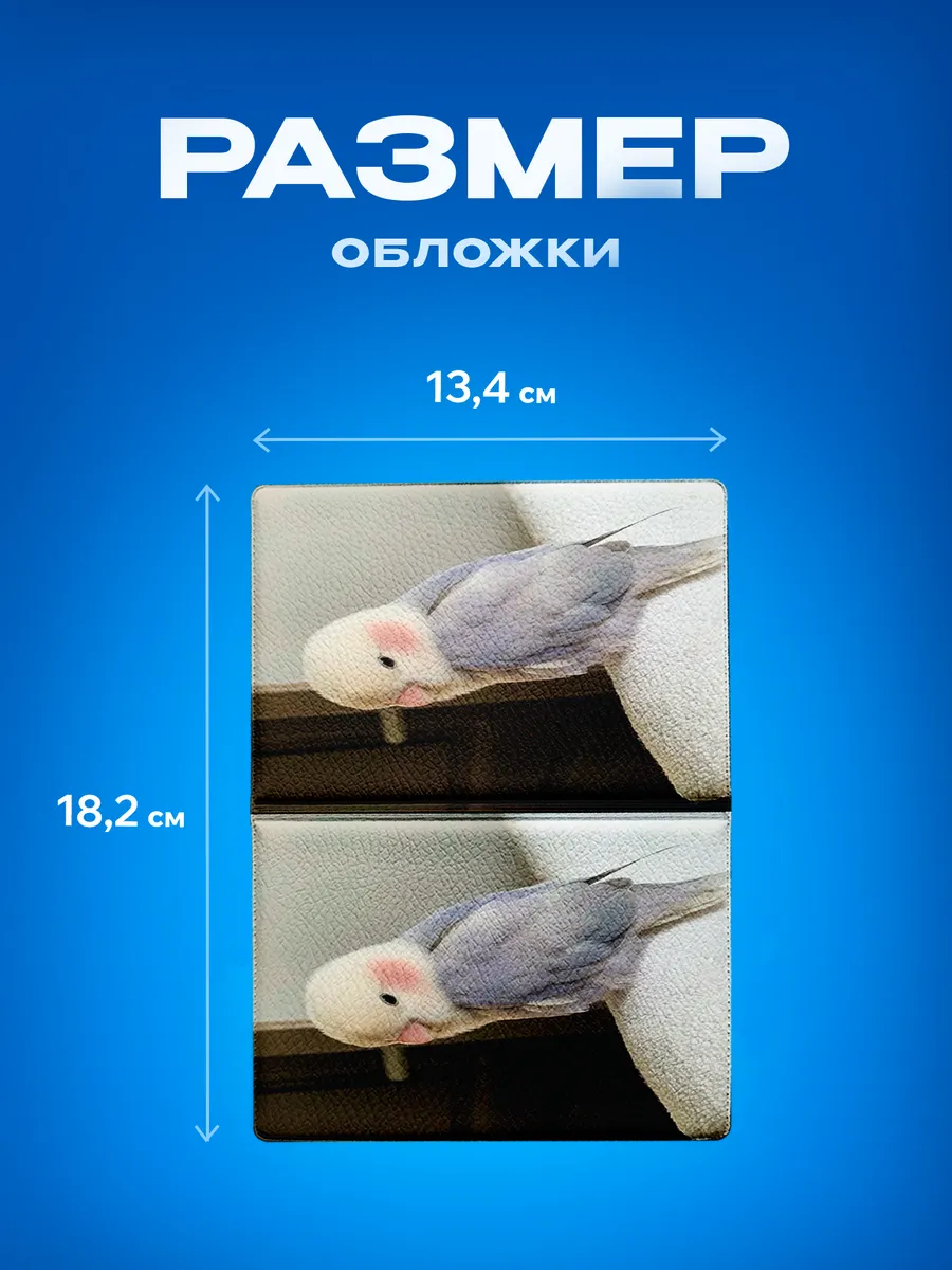 Изображение товара 3 из 5