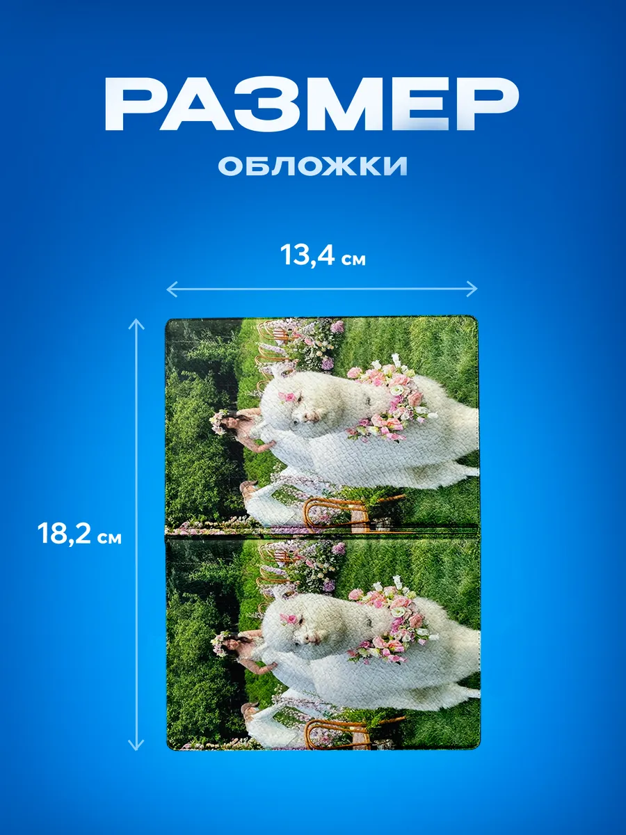 Изображение товара 3 из 5