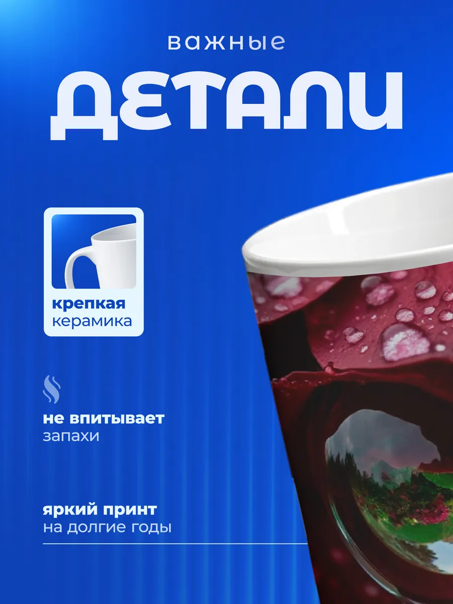 Изображение товара 3 из 6