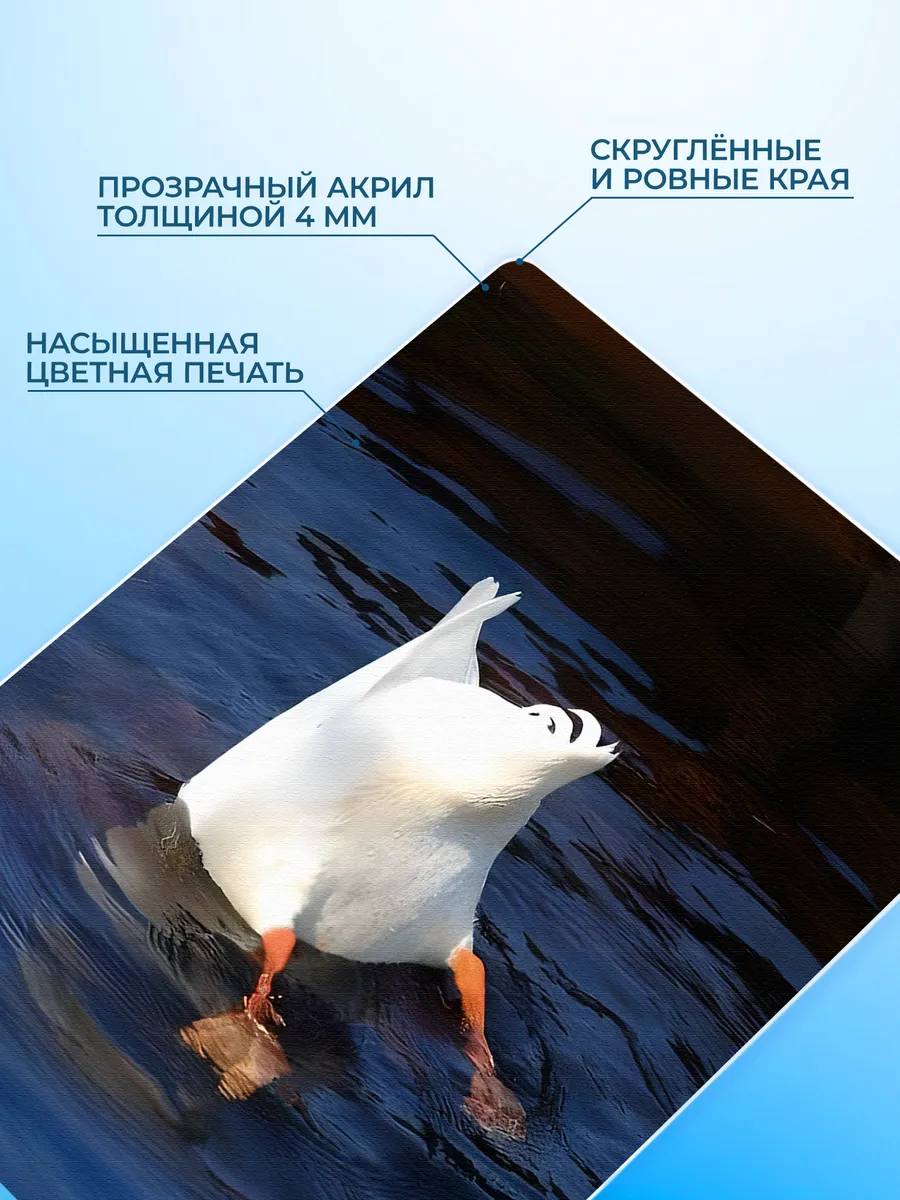 Изображение товара 3 из 4