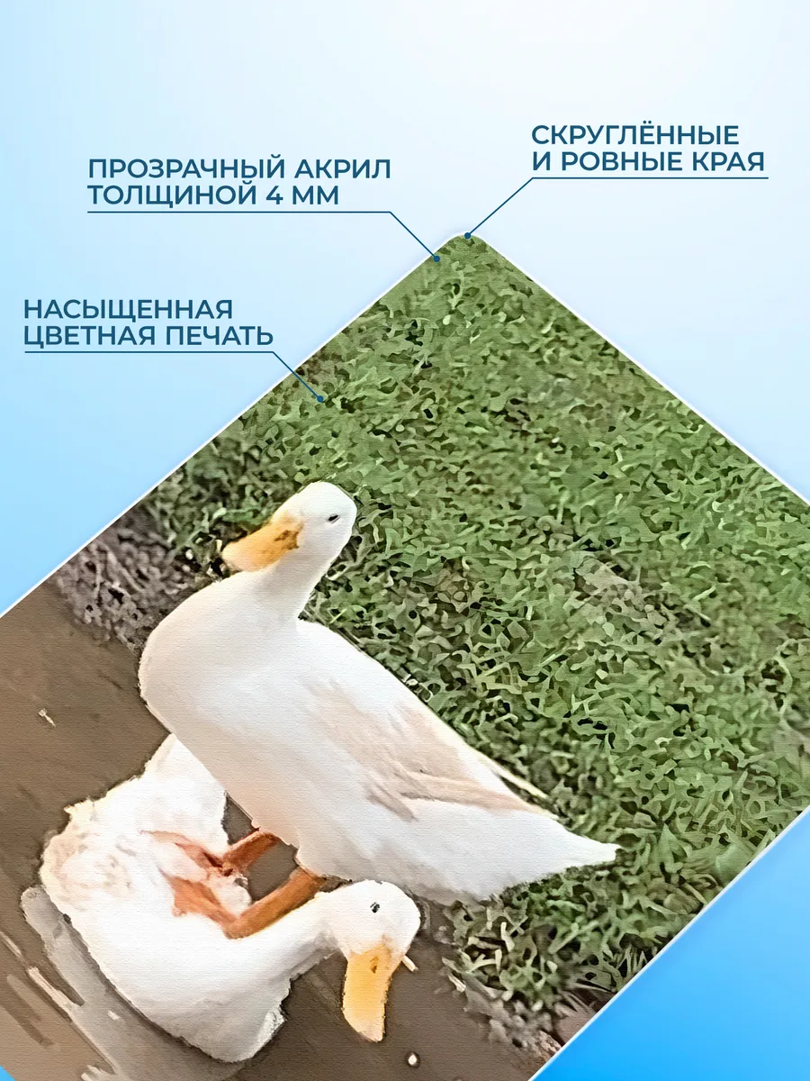 Изображение товара 3 из 4