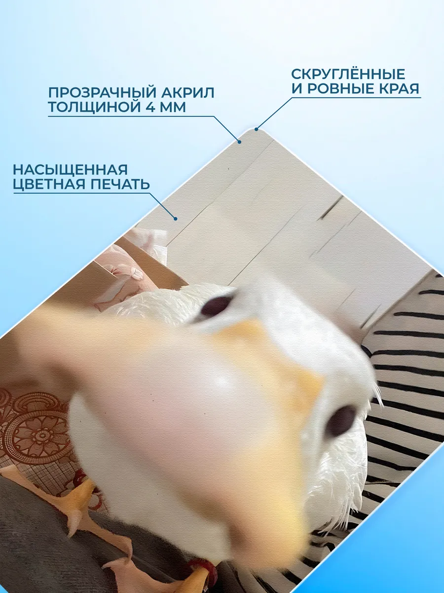 Изображение товара 3 из 4