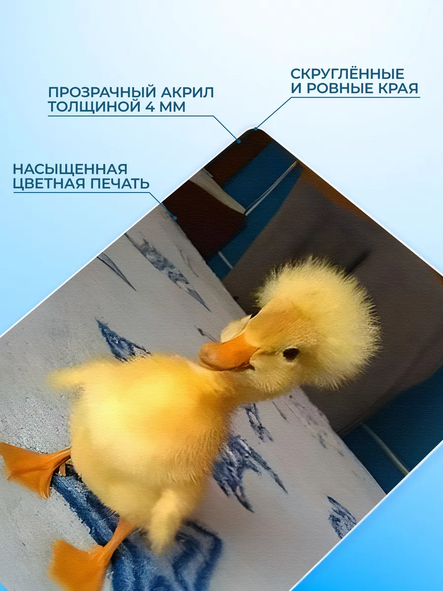 Изображение товара 3 из 4