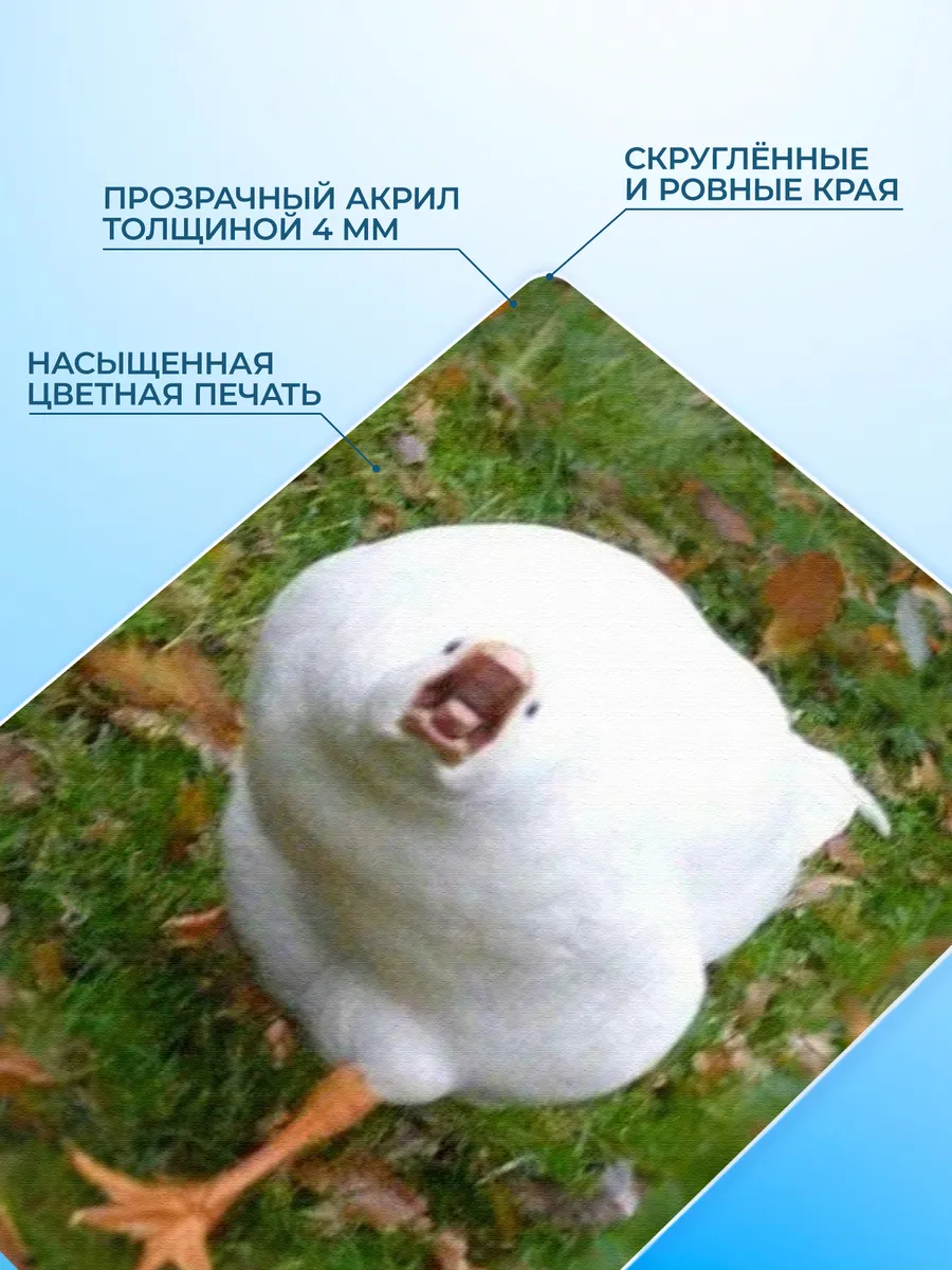 Изображение товара 3 из 4
