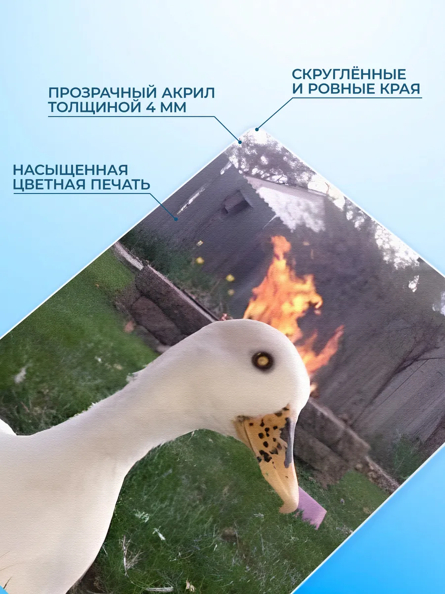 Изображение товара 3 из 4
