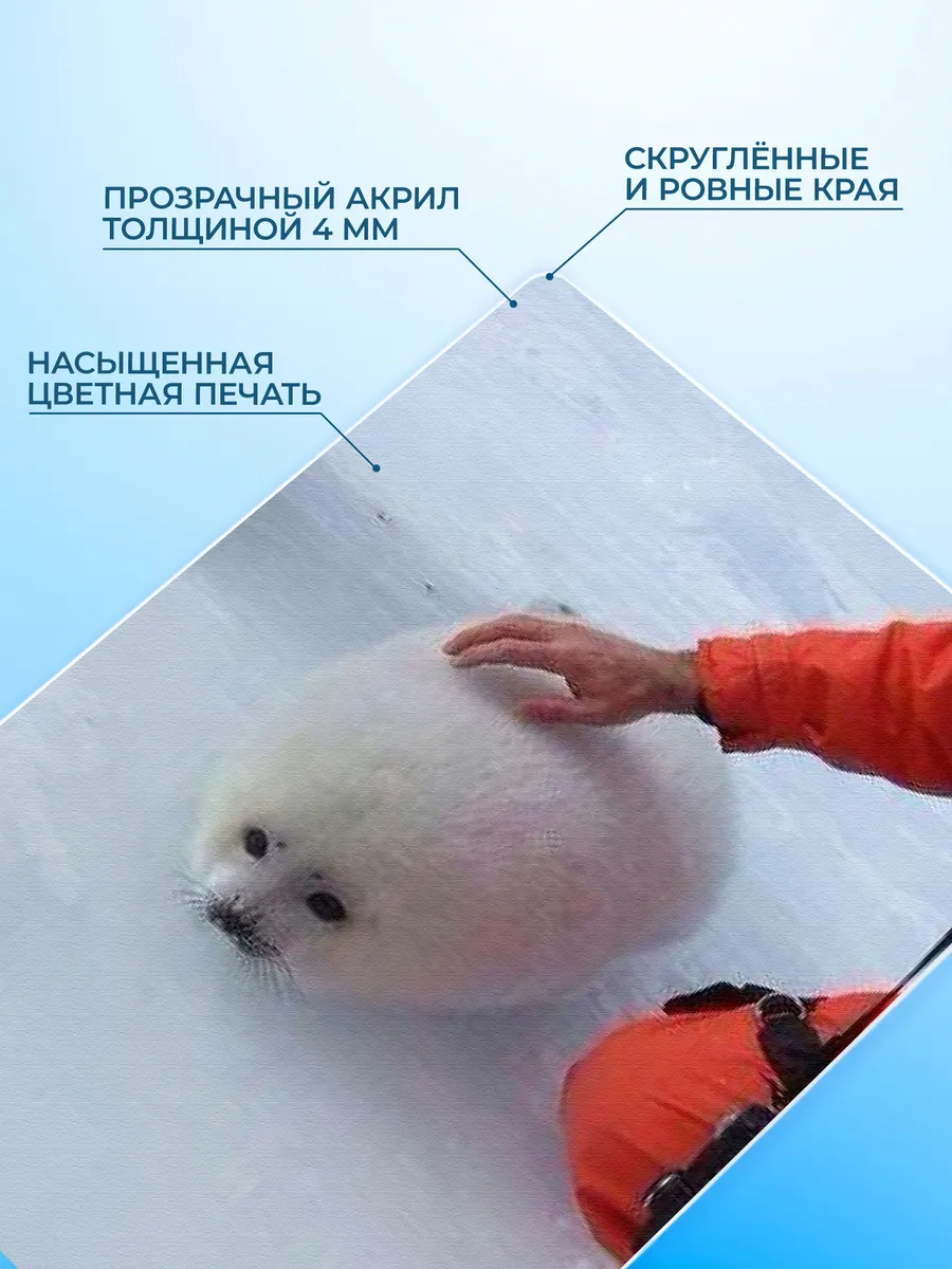 Изображение товара 3 из 4