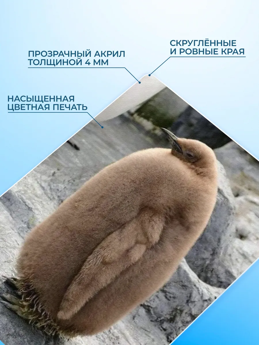 Изображение товара 3 из 4