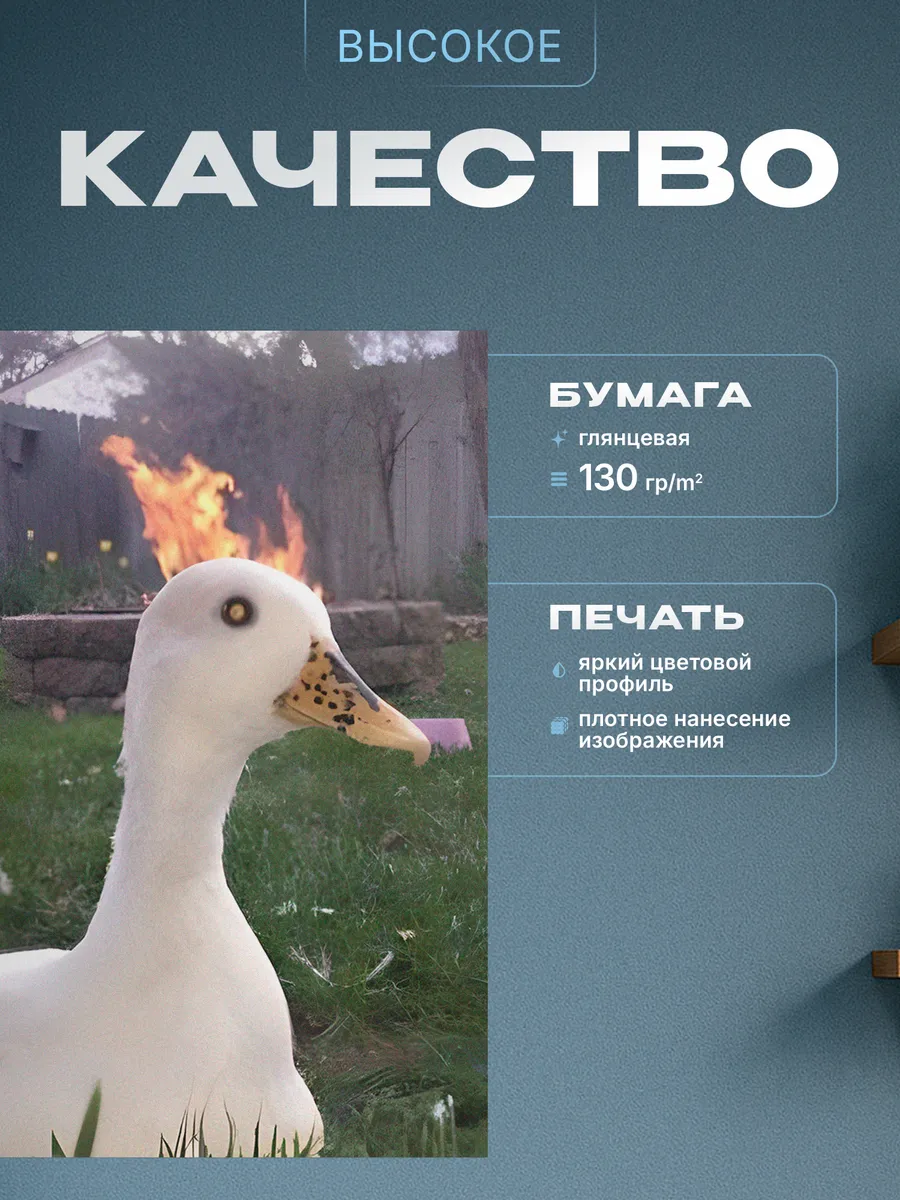 Изображение товара 3 из 4