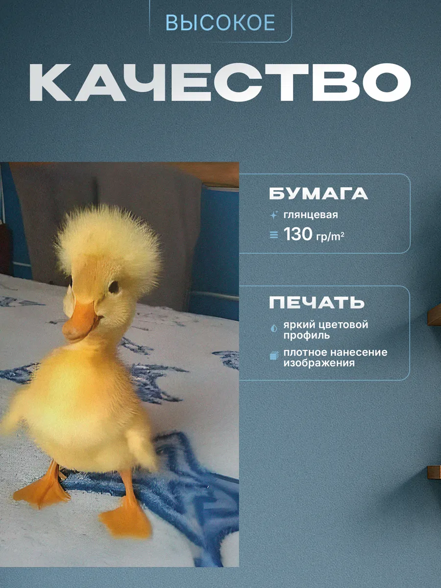 Изображение товара 3 из 4