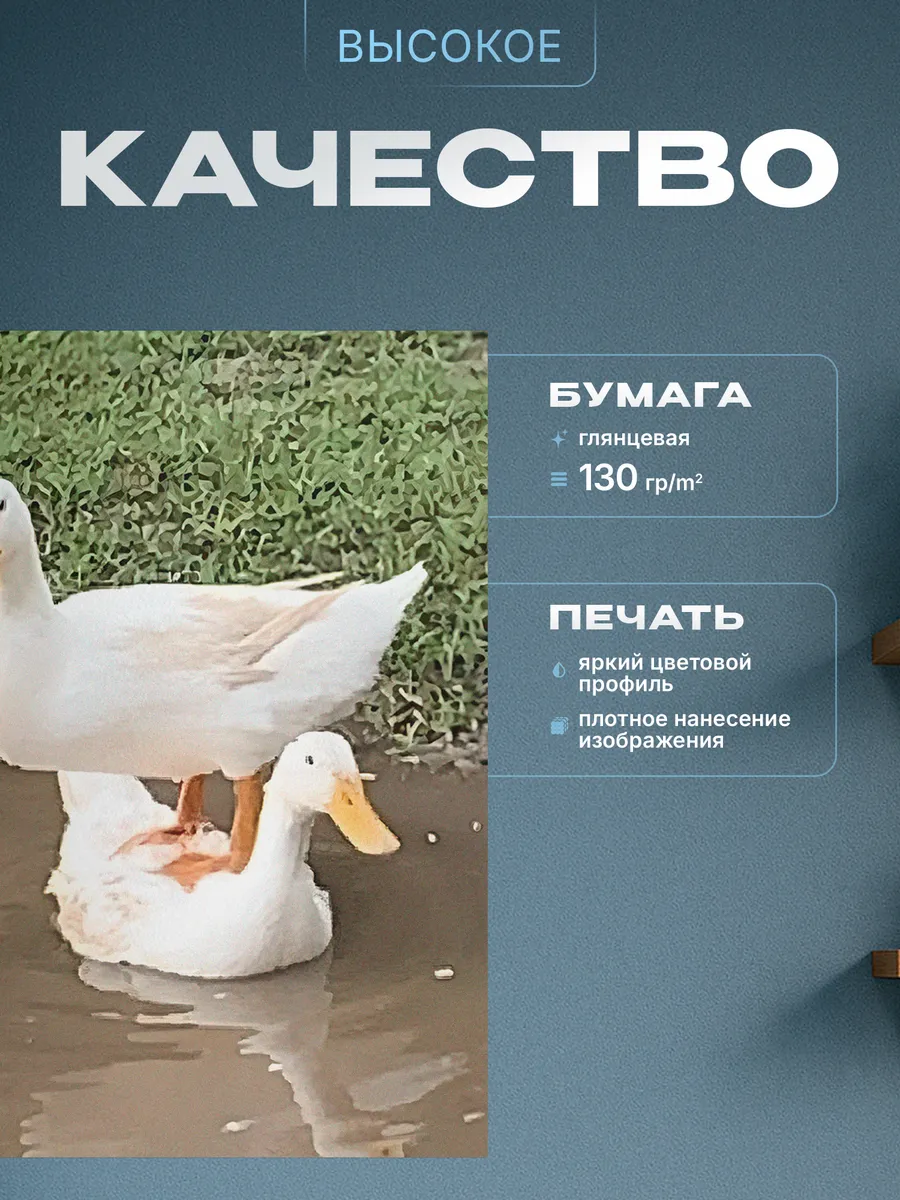 Изображение товара 3 из 4