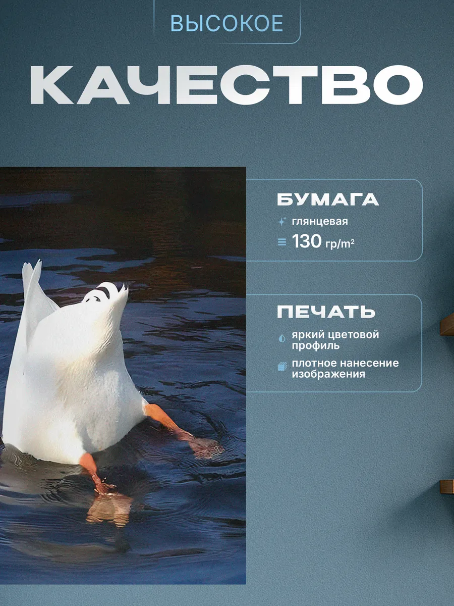 Изображение товара 3 из 4