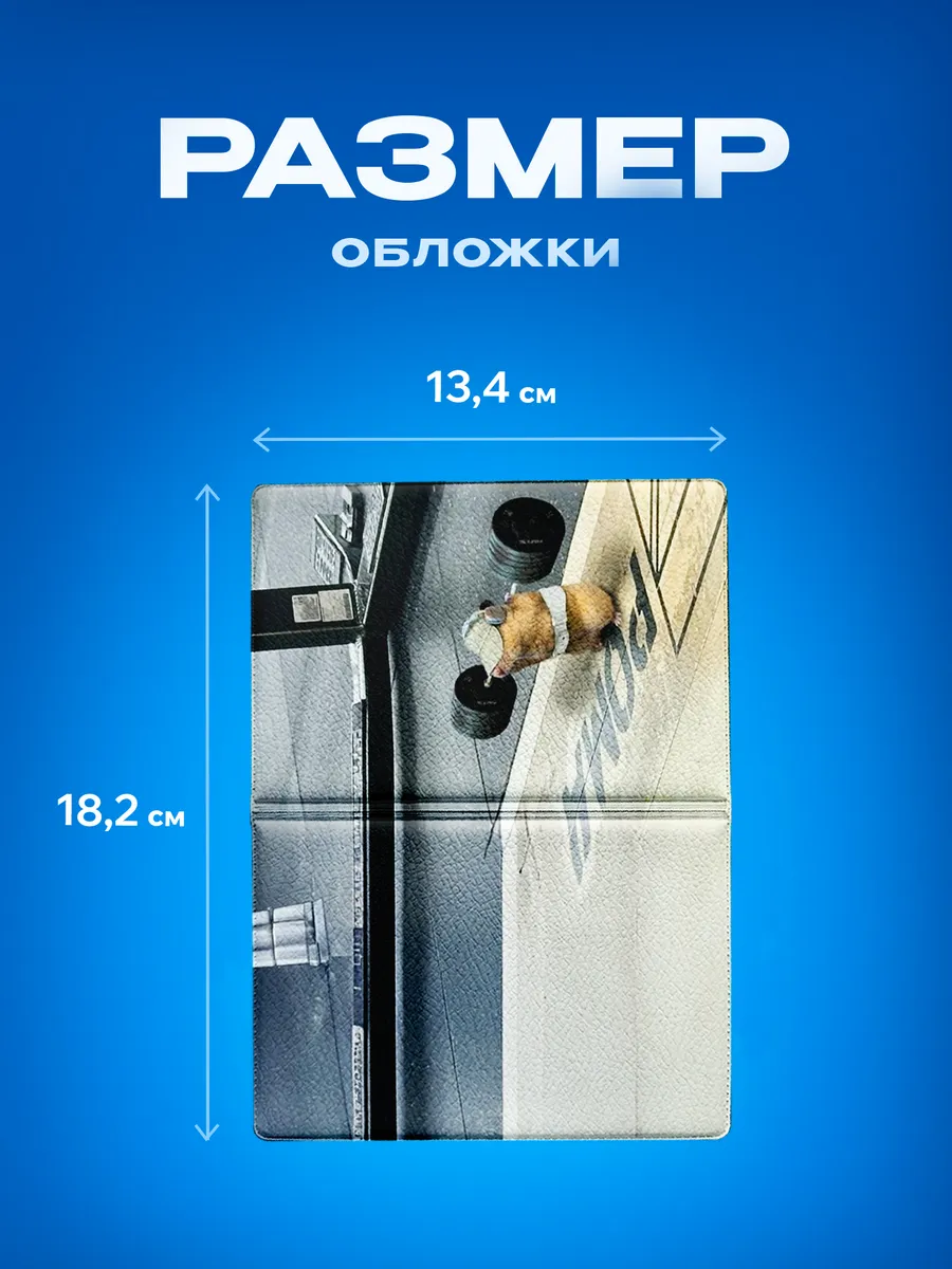 Изображение товара 3 из 5