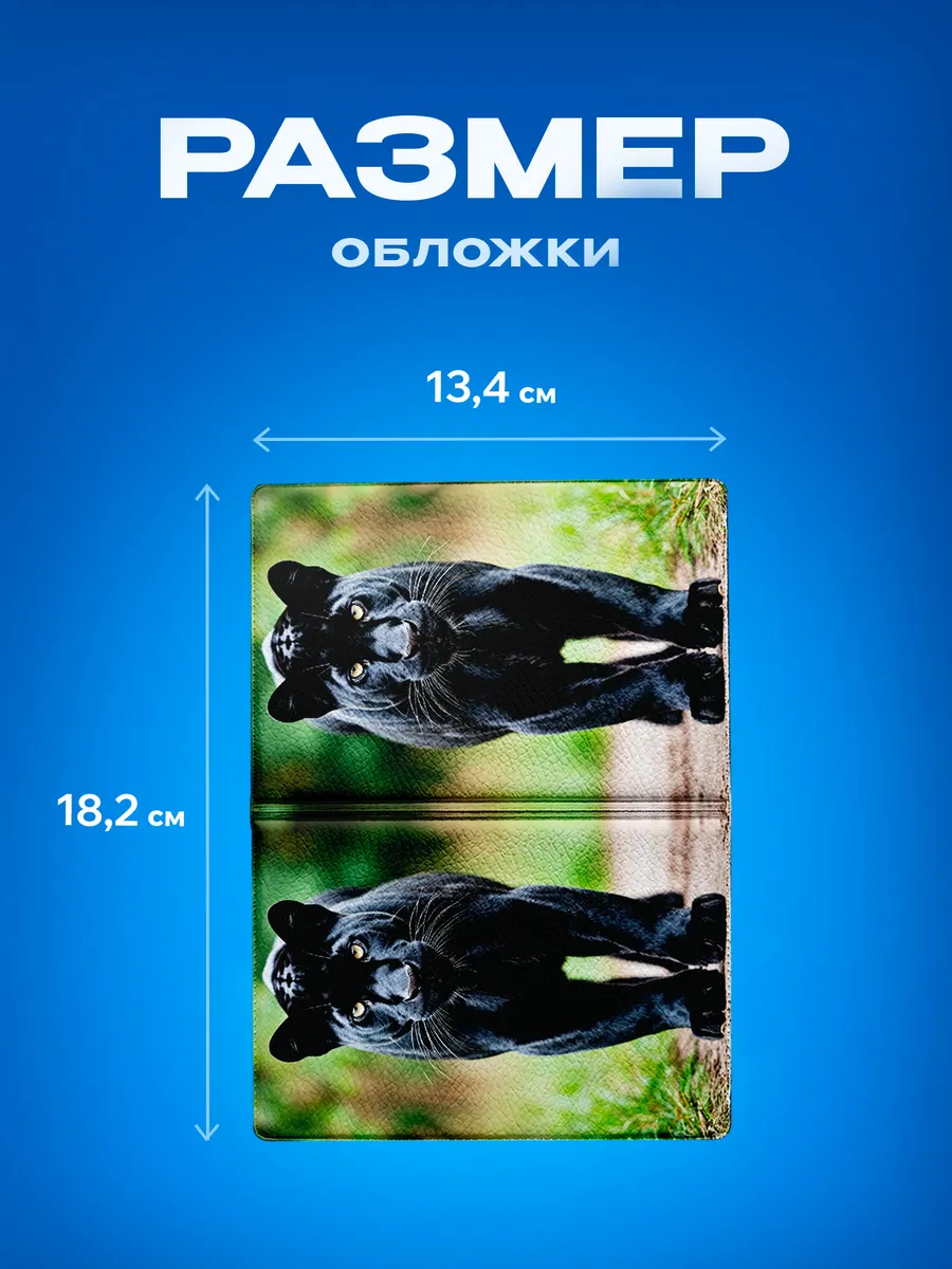 Изображение товара 3 из 5
