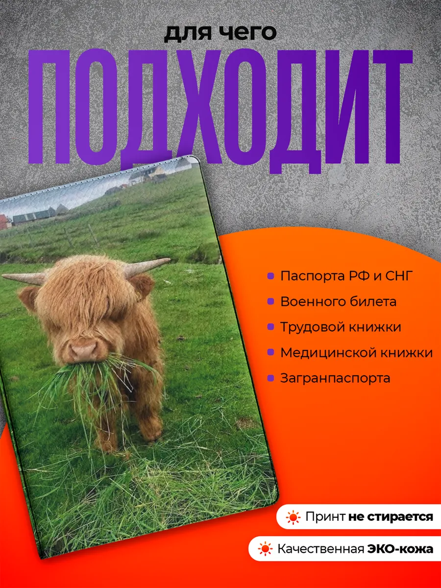 Изображение товара 3 из 4