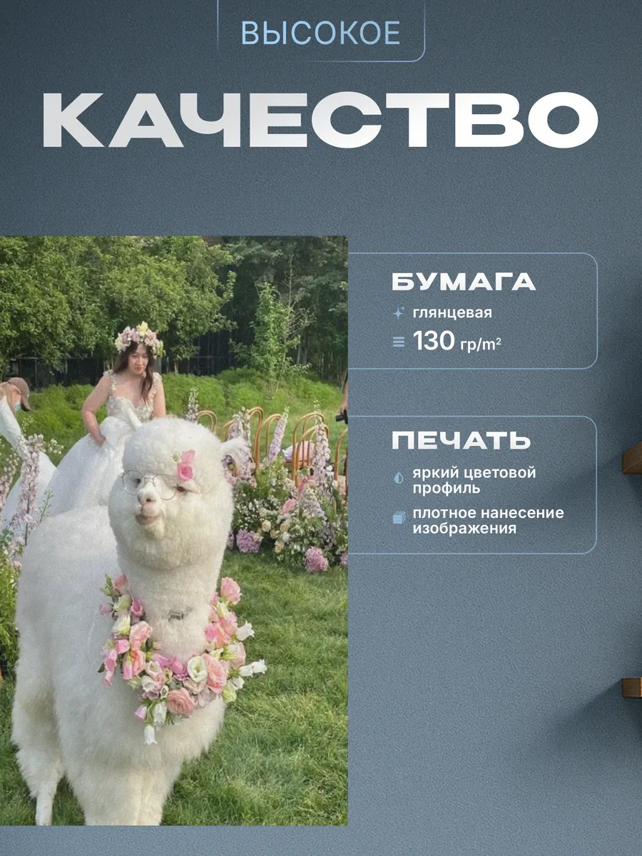 Изображение товара 3 из 4
