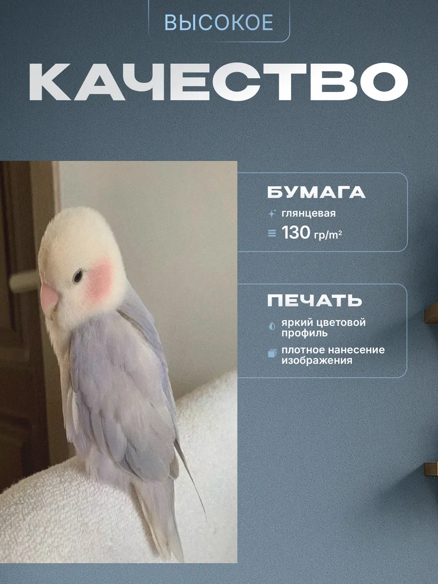 Изображение товара 3 из 4