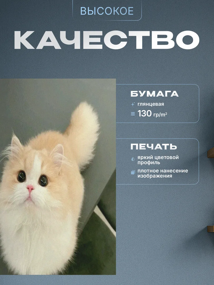 Изображение товара 3 из 4