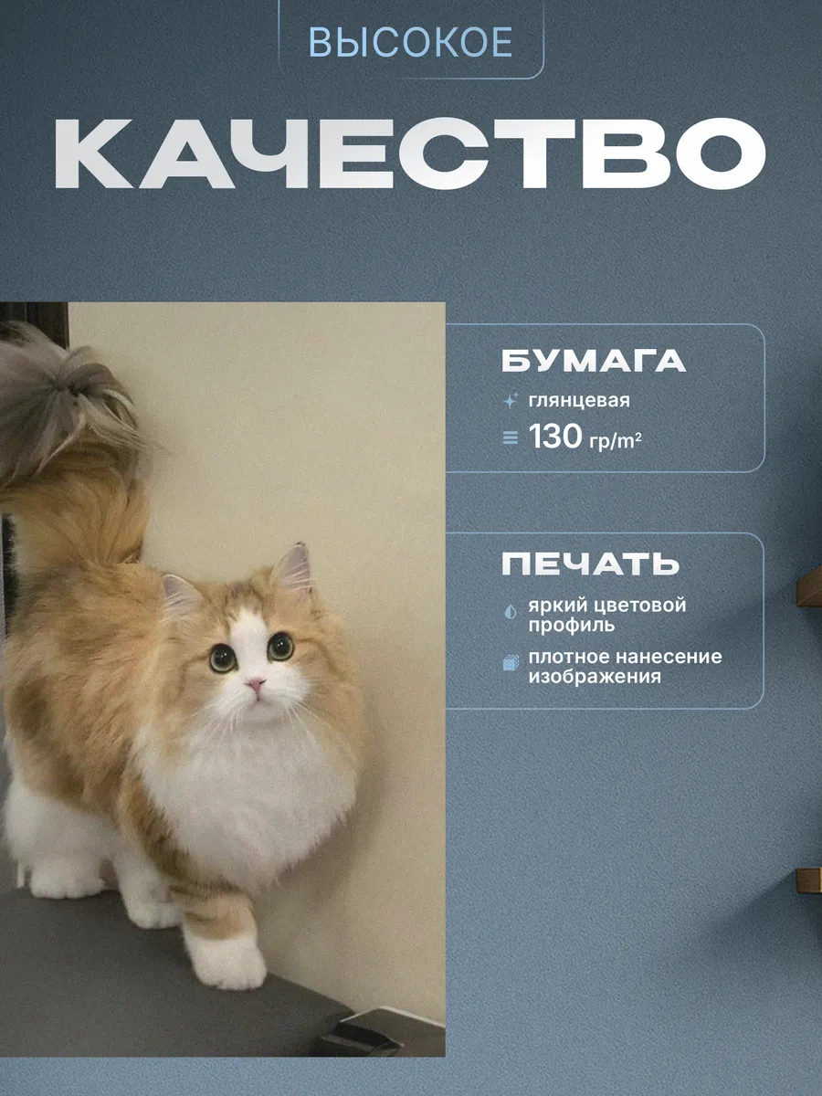 Изображение товара 3 из 4