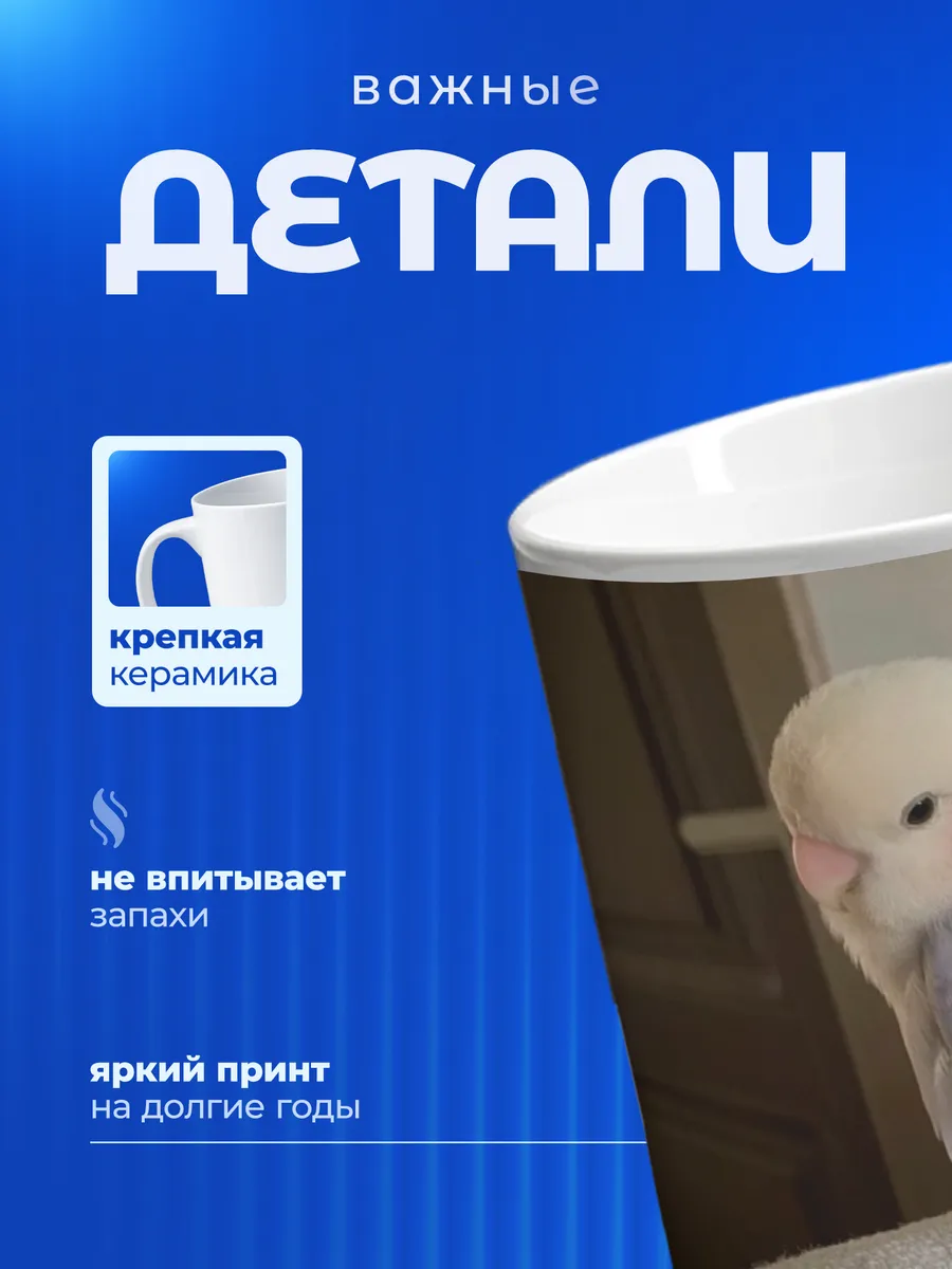 Изображение товара 3 из 6