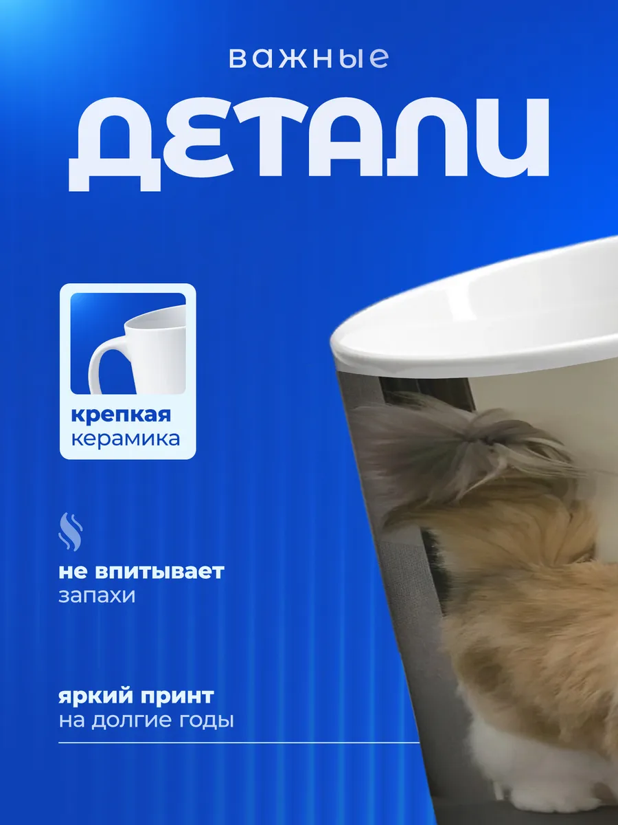 Изображение товара 3 из 6