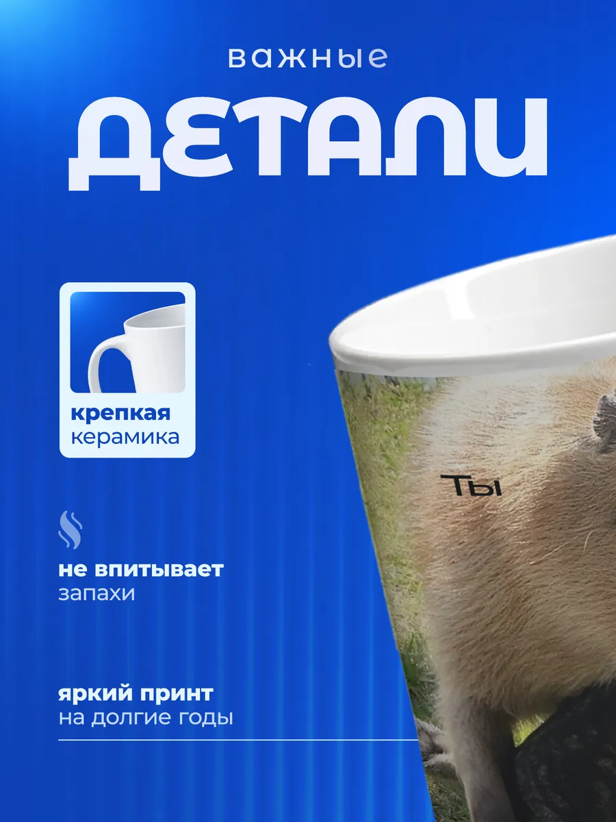 Изображение товара 3 из 6