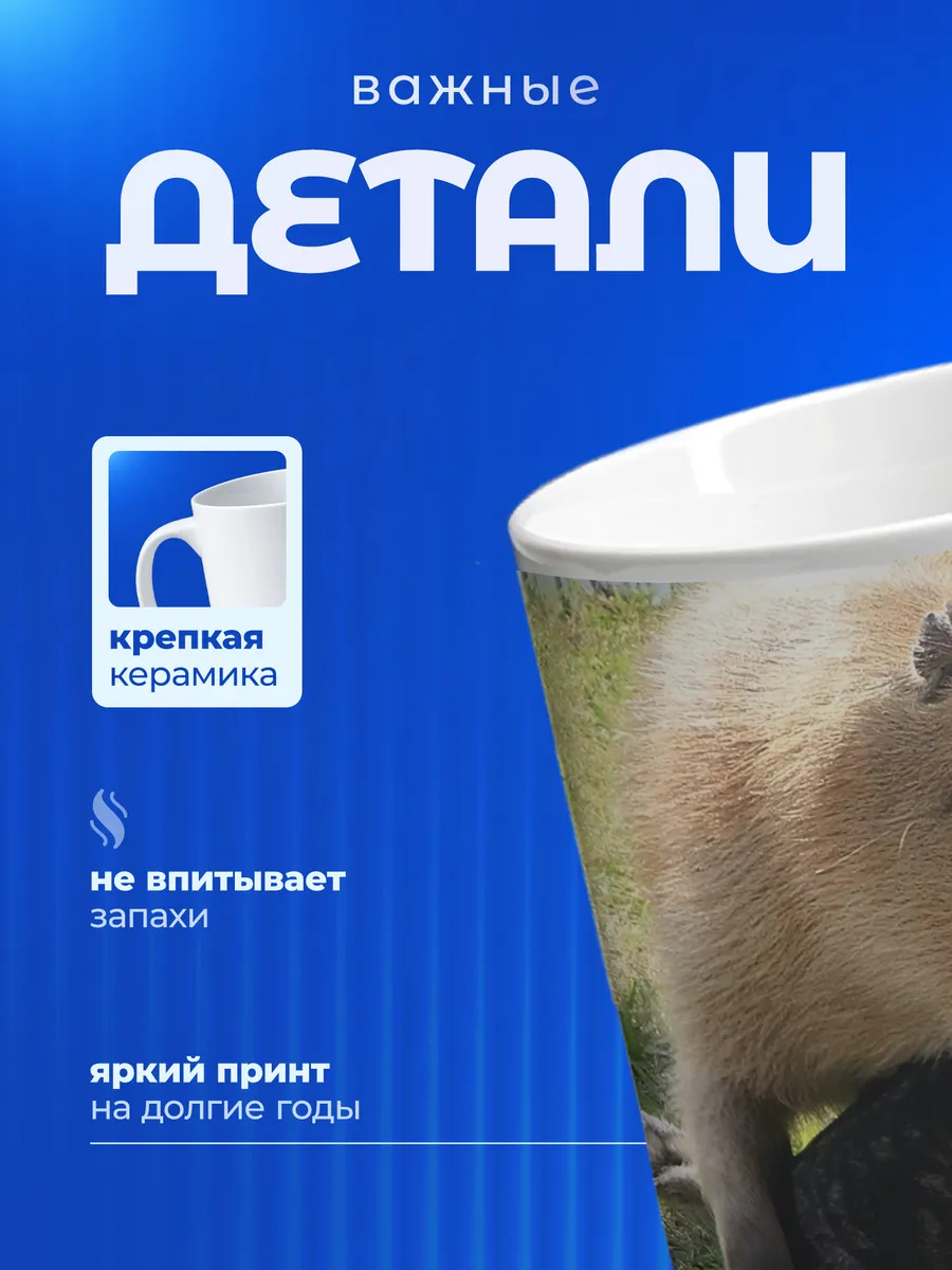 Изображение товара 3 из 6