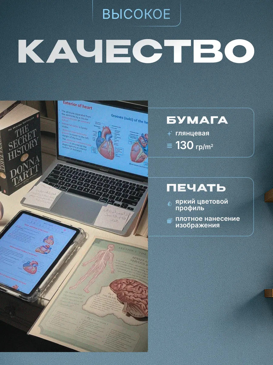 Изображение товара 3 из 4