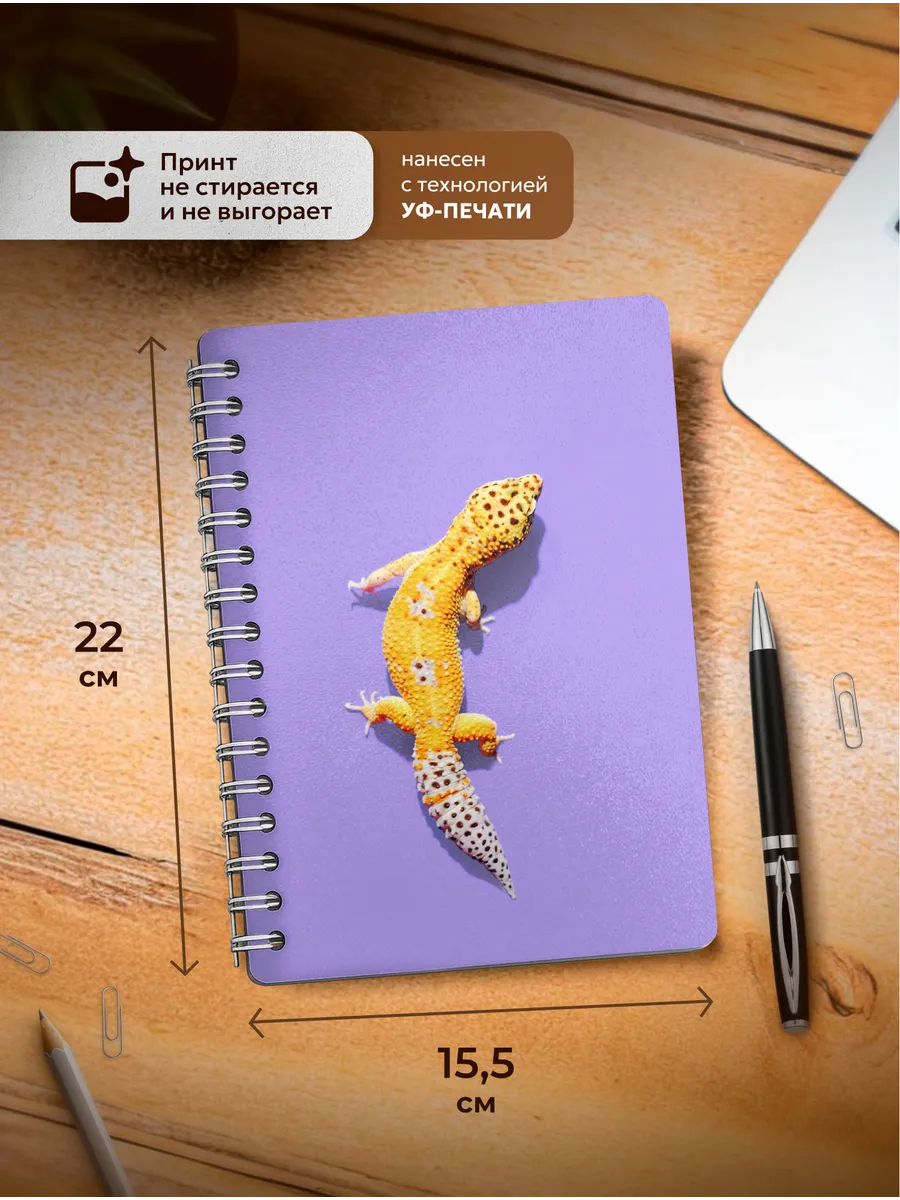 Изображение товара 3 из 7