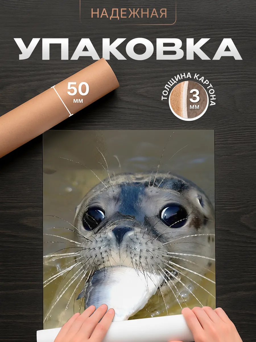 Изображение товара 4 из 4