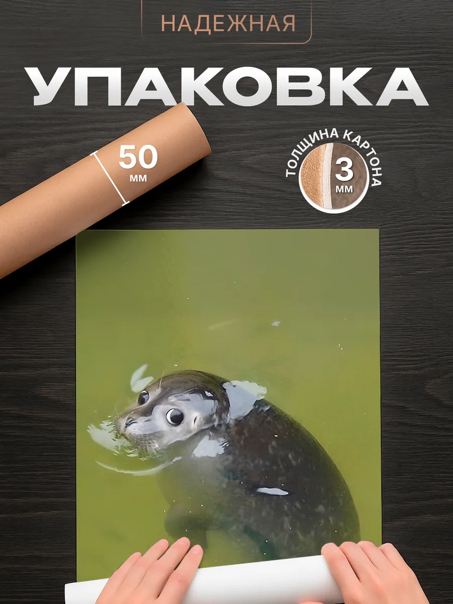 Изображение товара 4 из 4