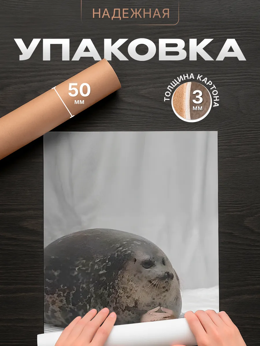 Изображение товара 4 из 4