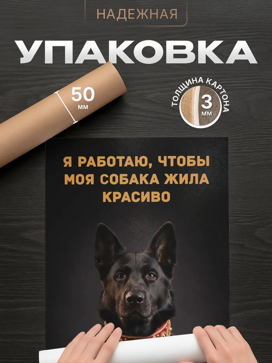 Изображение товара 4 из 4