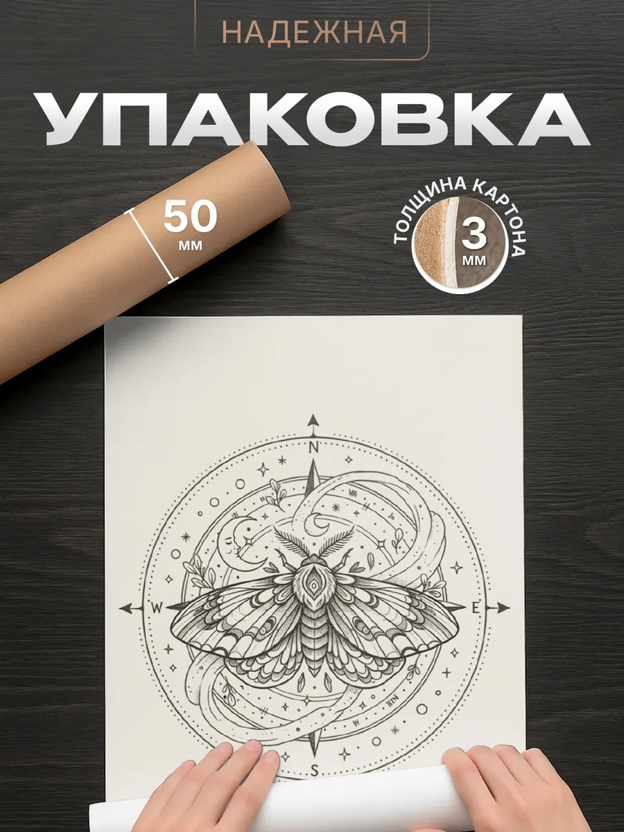 Изображение товара 4 из 4