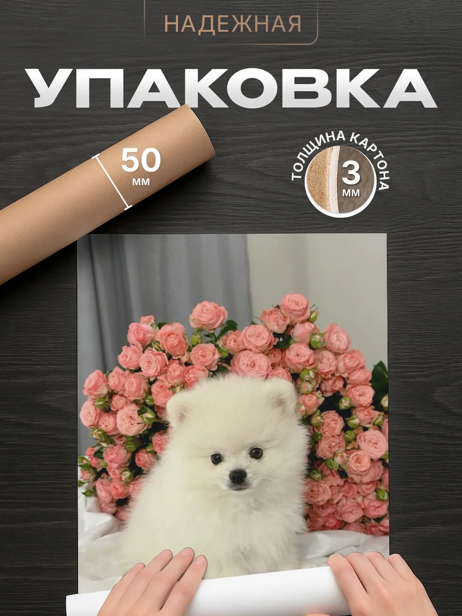 Изображение товара 4 из 4