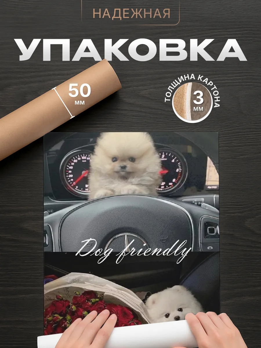 Изображение товара 4 из 4