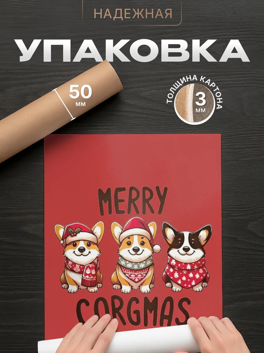 Изображение товара 4 из 4