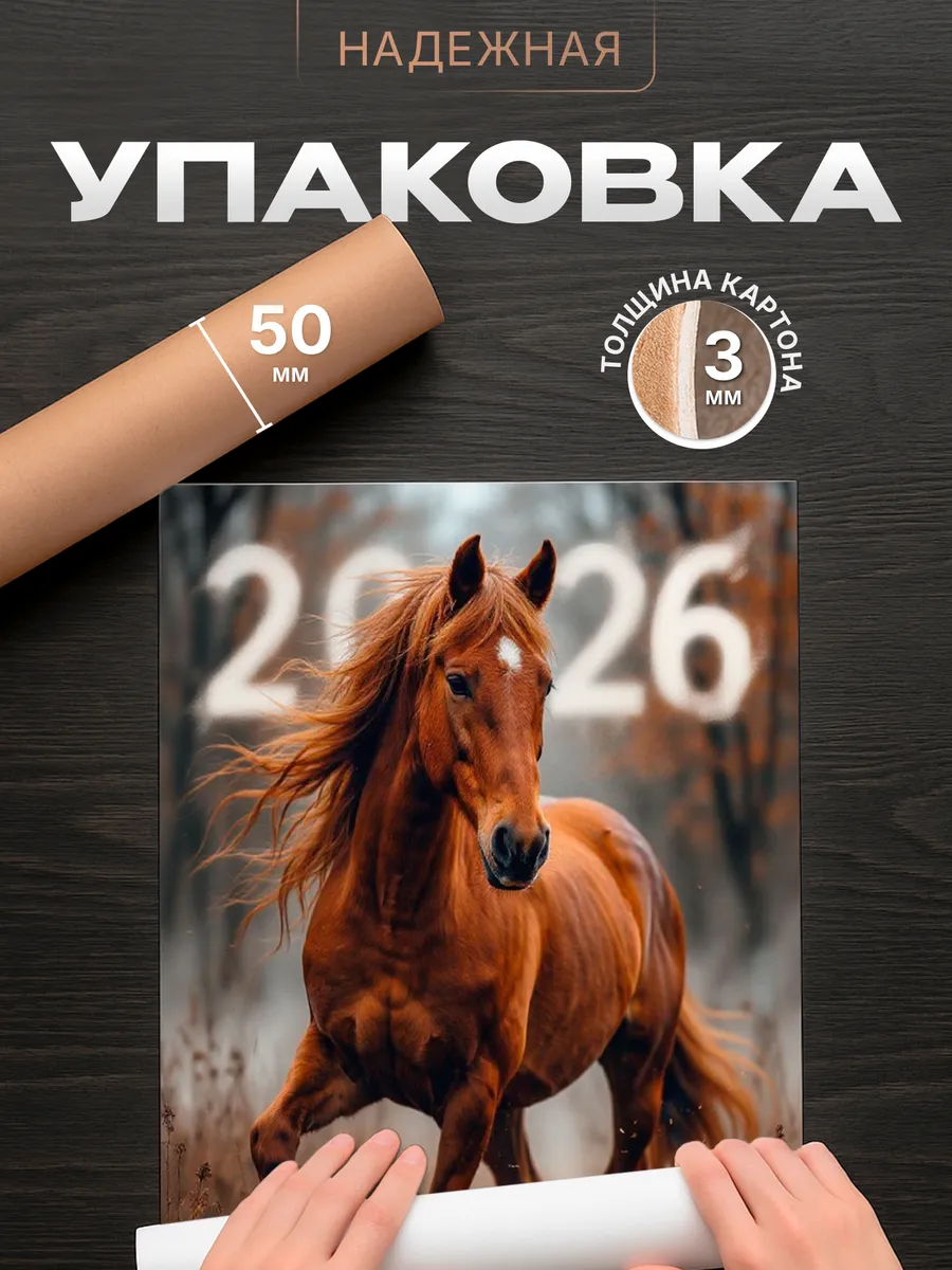 Изображение товара 4 из 4