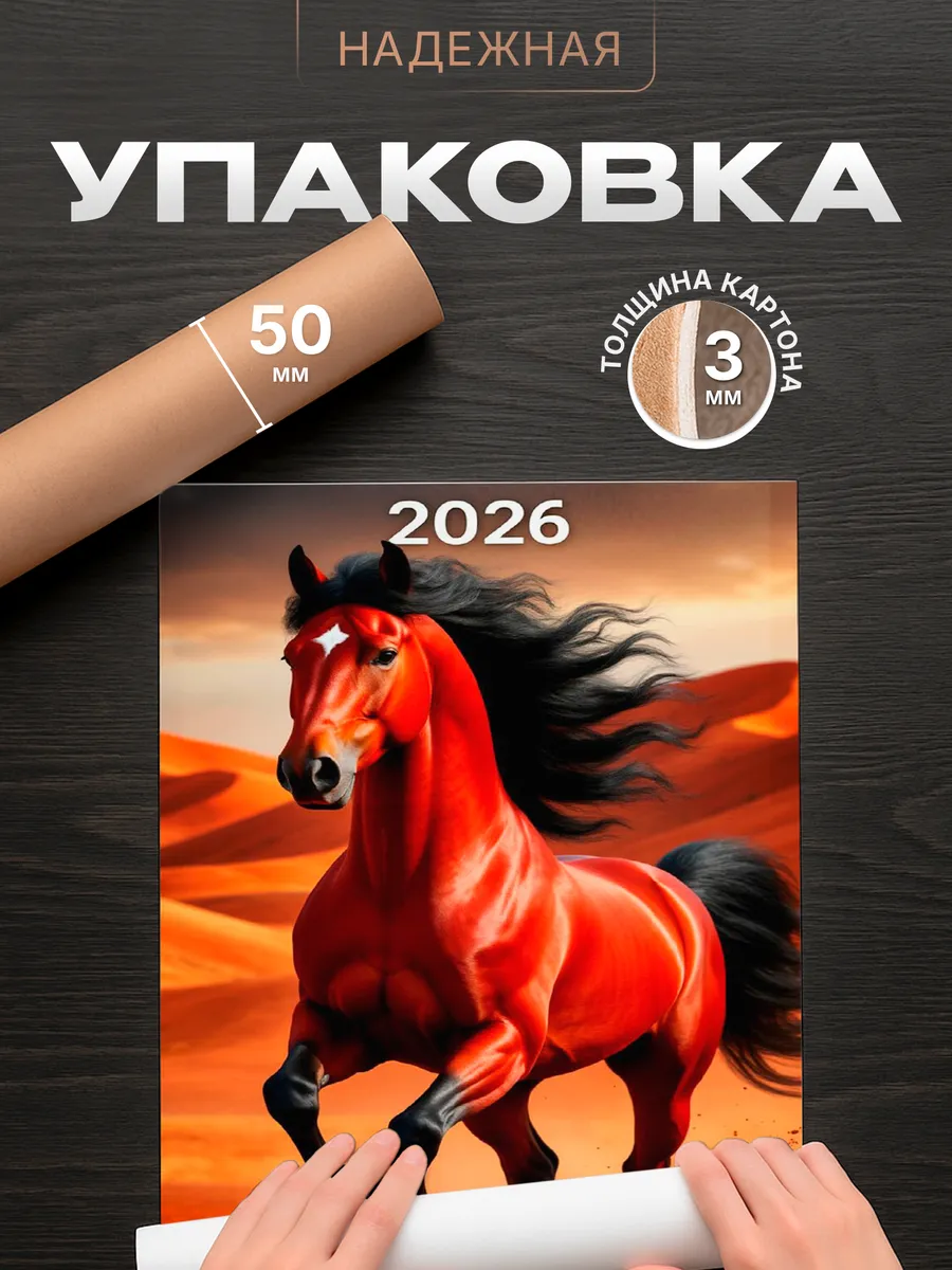 Изображение товара 4 из 4