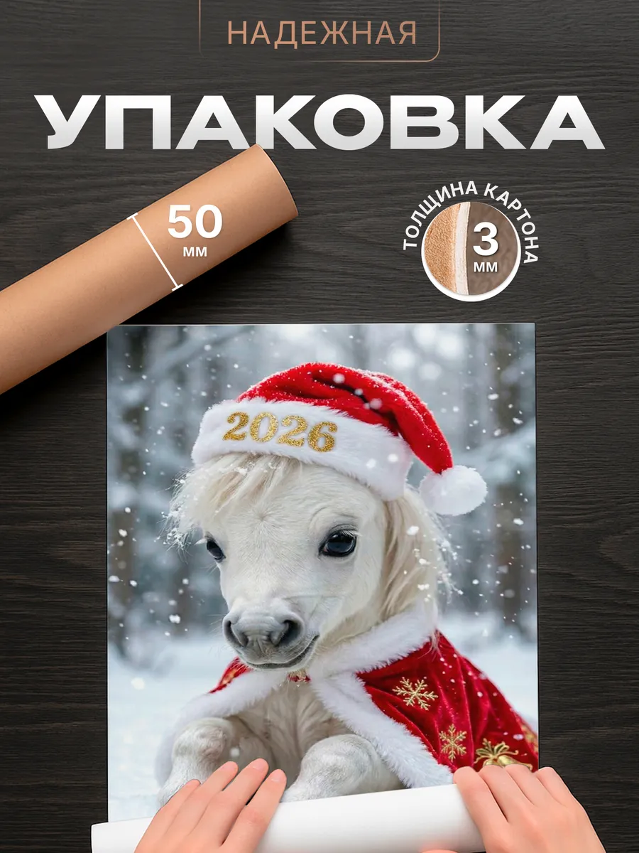 Изображение товара 4 из 4